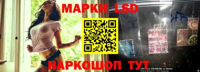 сатива Будённовск