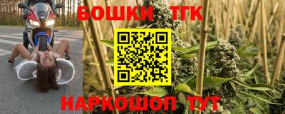 сатива Будённовск