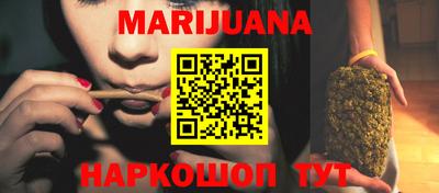сатива Будённовск