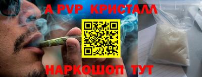 сатива Будённовск