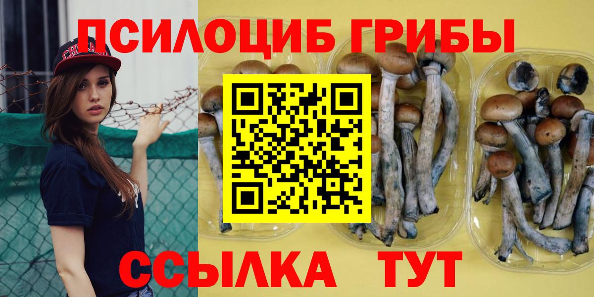 Куйбышев  где можно купить наркотик  Вход с VPN  Псилоцибиновые грибы ЛСД 